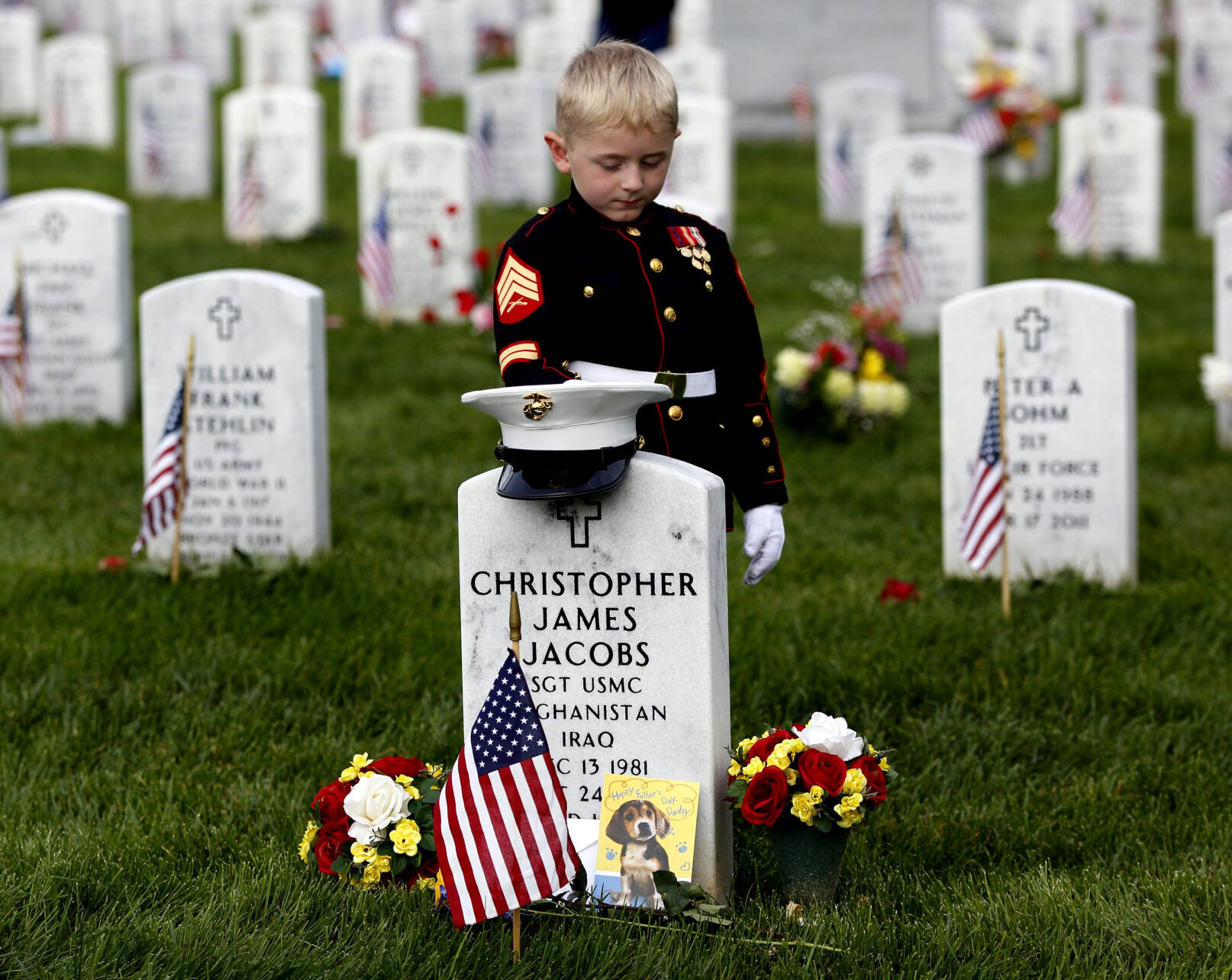 Pictures Of The Week Photo Gallery